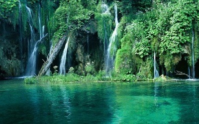 El Parque Nacional Cuc Phuong Vietnam