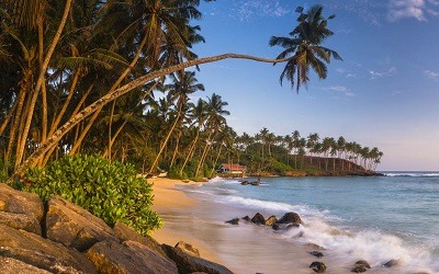 La playa de Mirissa Sri Lanka