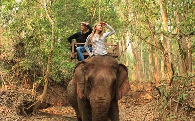 Paseos en Elefante en Laos