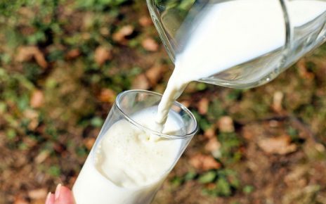 leche sin lactosa para bebe