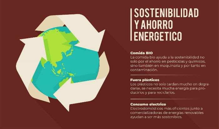 Infografia sostenibilidad y ahorro energetico