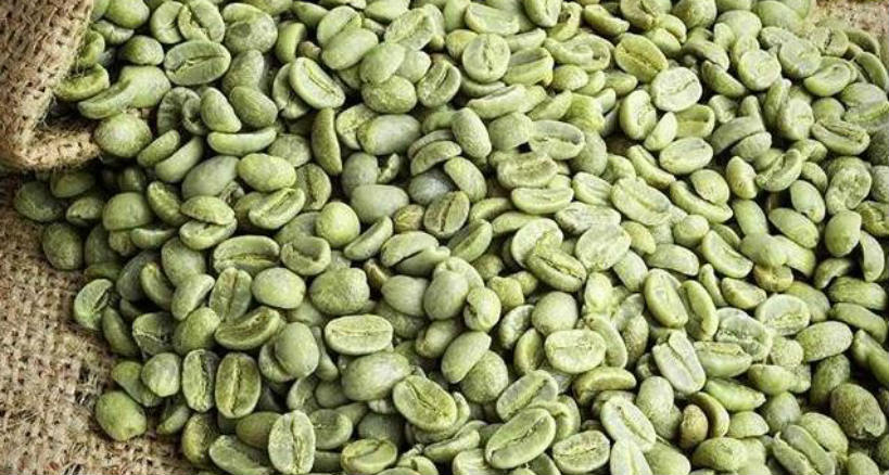 Cápsulas de café verde
