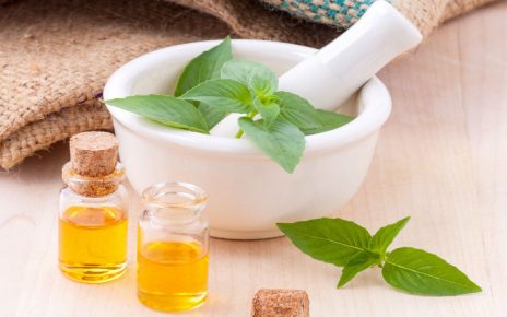 plantas medicinales que debes conocer