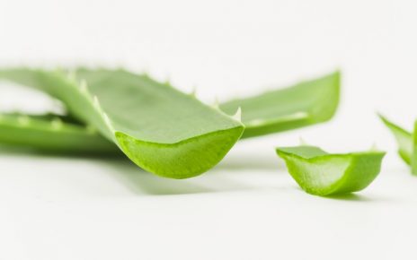 cuidar la salud con aloe vera