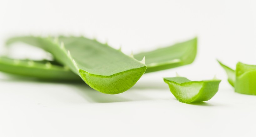 cuidar la salud con aloe vera