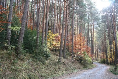 Rutas y senderismo en Canfranc