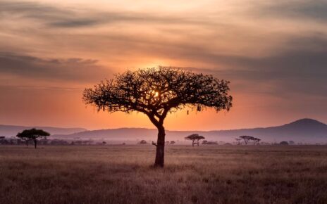 Serengeti