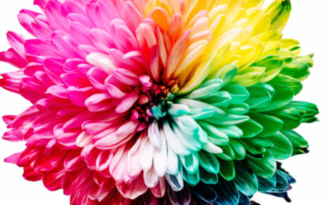 Colores que empiezan con T