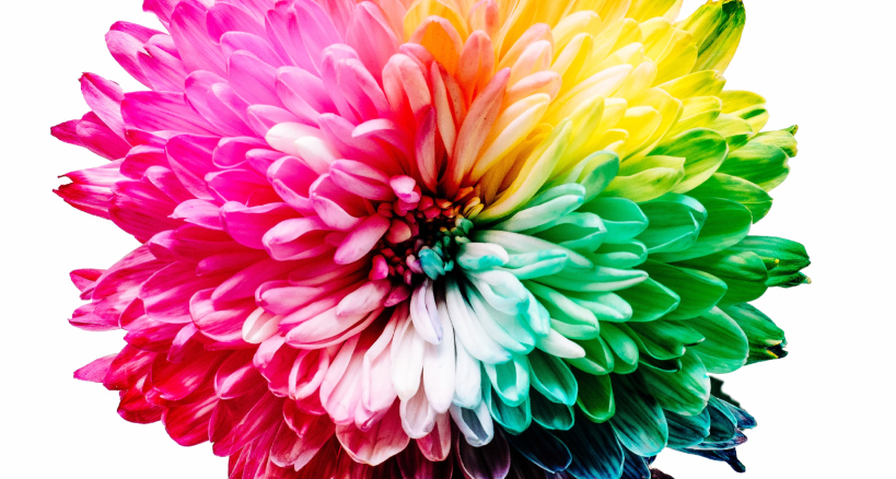 Colores que empiezan con T